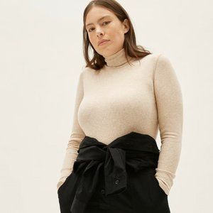 Everlane Pima Micro Rib Turtleneck